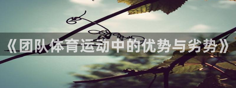 《团队体育运动中的优势与劣势》