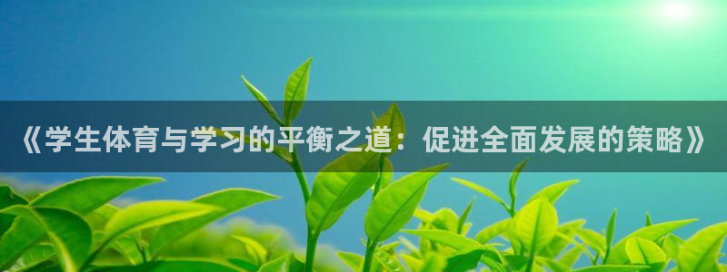 《学生体育与学习的平衡之道：促进全面发展的策略》