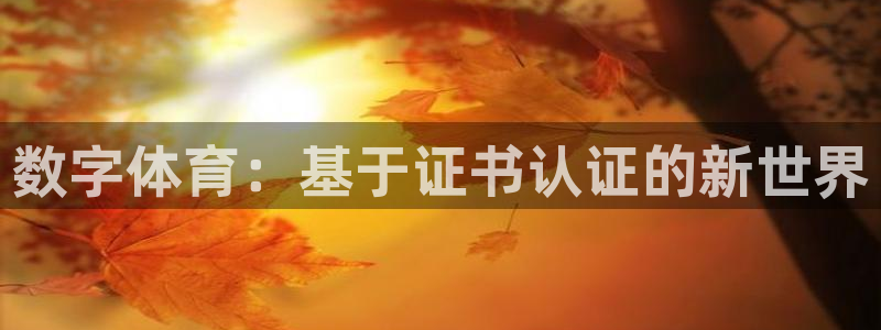数字体育：基于证书认证的新世界