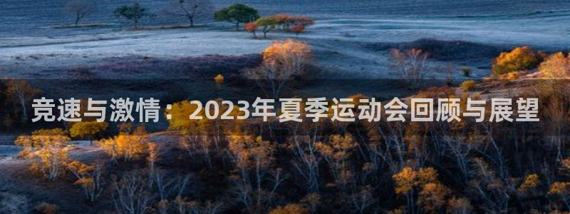 竞速与激情：2023年夏季运动会回顾与展望