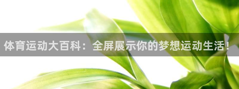 体育运动大百科：全屏展示你的梦想运动生活！