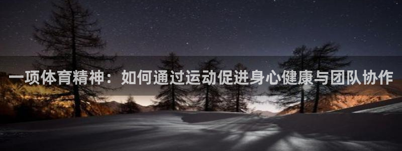 一项体育精神：如何通过运动促进身心健康与团队协作