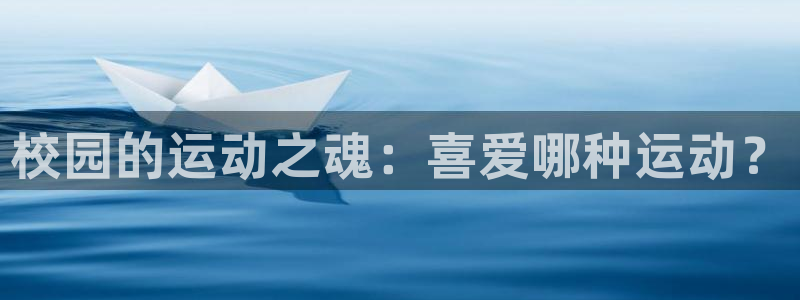 校园的运动之魂：喜爱哪种运动？