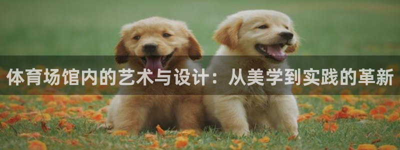 体育场馆内的艺术与设计：从美学到实践的革新
