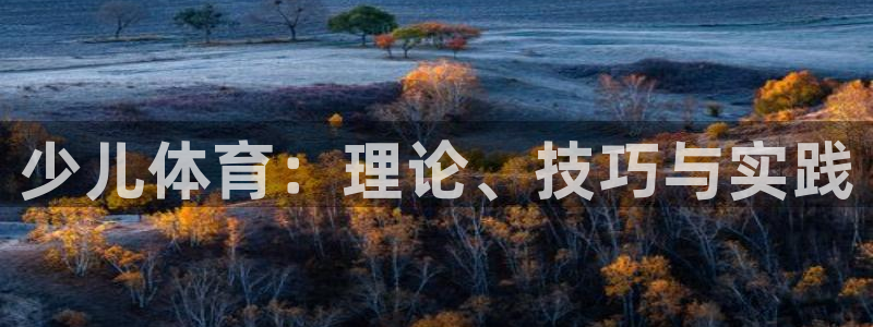 少儿体育：理论、技巧与实践