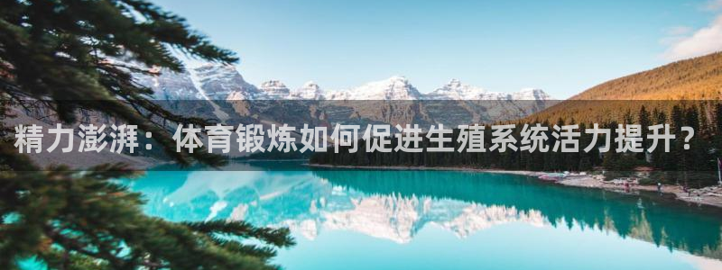 精力澎湃：体育锻炼如何促进生殖系统活力提升？