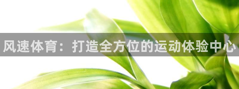 风速体育：打造全方位的运动体验中心