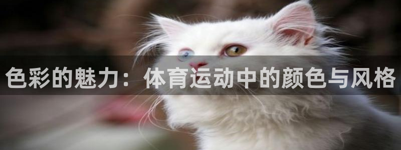 色彩的魅力：体育运动中的颜色与风格